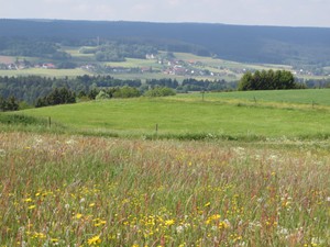 GÃ¶schweiler-Panorama.JPG
