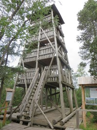 12 Turm im Hochmoor.JPG