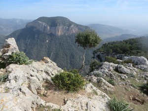 Gipfel Puig Alaro.JPG