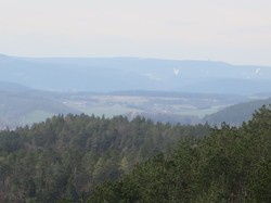ThÃ¼ringer Wald.JPG