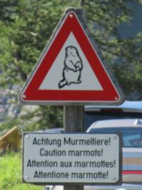 Warnschild Murmeltiere.JPG