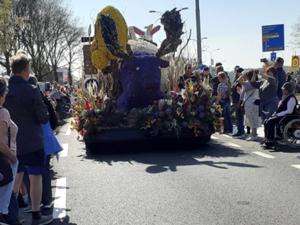 1 Blumencorso Keukenhof 2025.jpg