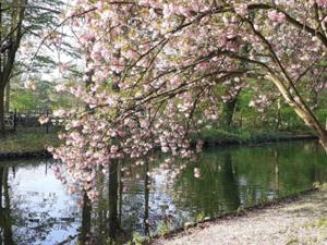 1 Tierpark Lindenthal Köln.jpg