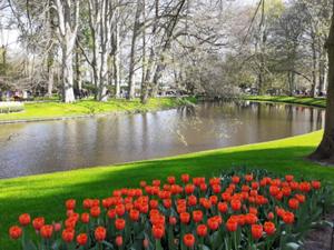 2 Keukenhof 2025.jpg