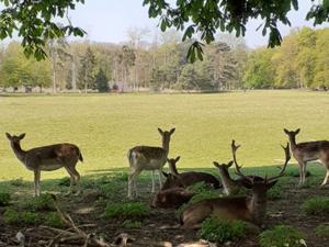2 Tierpark Lindenthal Köln.jpg