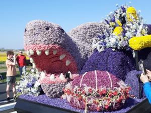 3 Blumencorso Keukenhof 2025.jpg