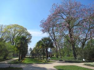 3 Botanischer Garten Köln.JPG