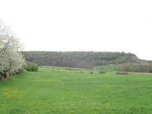 3 Finnberg April 2025.JPG
