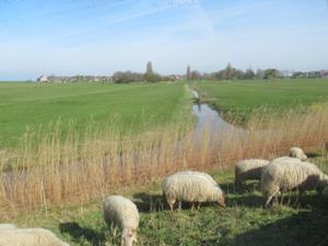 3 Marken Inselrundweg.JPG