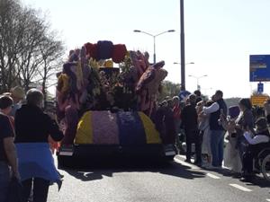 4 Blumencorso Keukenhof 2025.jpg