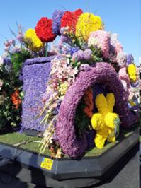 5 Blumencorso Keukenhof 2025.jpg