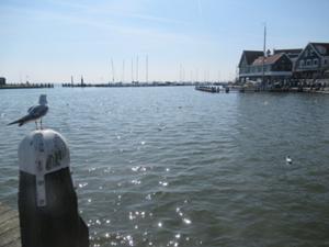 5 Volendam.JPG