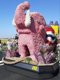 6 Blumencorso Keukenhof 2025.jpg