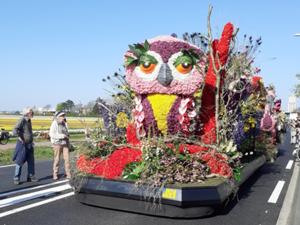 8 Blumencorso Keukenhof 2025.jpg