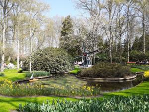 8 Keukenhof 2025.jpg