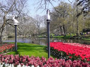 9 Keukenhof 2025.jpg