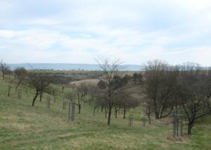 Enzianwiesenweg 1.JPG