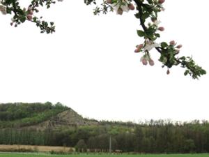 Finnberg April 2025.JPG