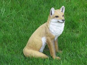 Fuchs Elmenthal.JPG