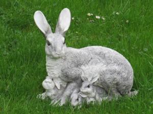 Hase Elmenthal.JPG