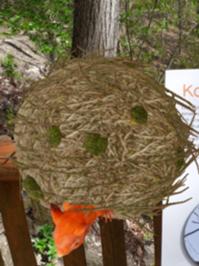 Natura Jenensis Eichhörnchenkobel.jpg