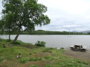 3 Prestvannet Tromso.JPG