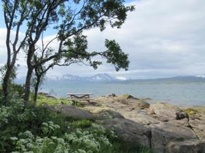 Abschiedsbild Tromso.JPG