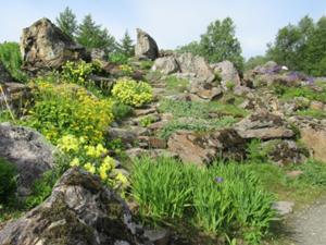 Botanischer Garten Tromso 1.JPG