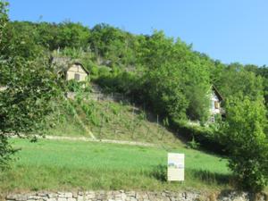 Weinwanderweg Bad Sulza 1.JPG