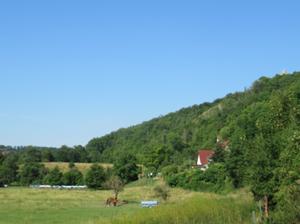 Weinwanderweg Bad Sulza 2.JPG