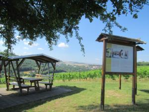 Weinwanderweg Bad Sulza 3.JPG