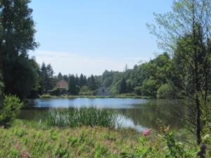 Aboretum Krtiny 3.JPG