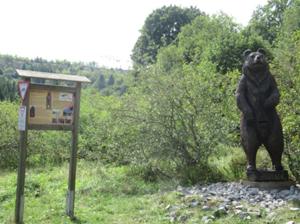 Bienenbär Rübeland.JPG
