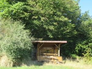Hütte über Langenroda.JPG