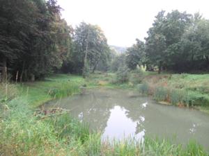 Kleinroda 1.JPG