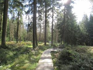 Moorlehrpfad 2.JPG
