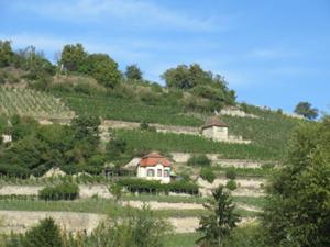 Weinwanderung Freyburg 2.JPG