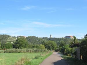 Weinwanderung Freyburg 3.JPG