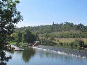 Weinwanderung Freyburg 4.JPG