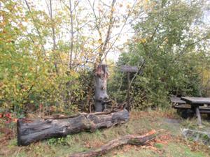 Alte Pferdetränke Eckerstausee.JPG