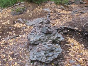 Aufstieg Froschfelsen Ilsenburg.JPG