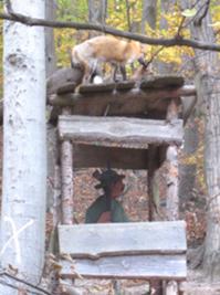 Christianental Wernigerode.JPG