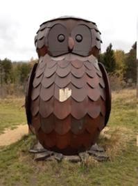 LöwenzahnEntdeckerpfad 2.jpg