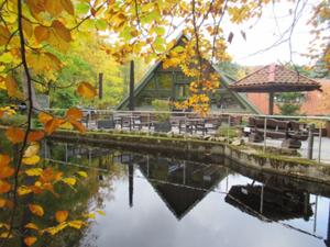 Nagelschmiede Ilsenburg.JPG