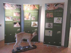 Natur-Erlebnis-Zentrum Hohnehof 2.JPG