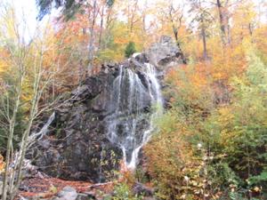Radauwasserfall Bad Harzburg.JPG