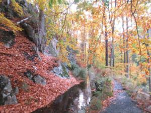 Radauwasserfallzulauf Bad Harzburg.JPG