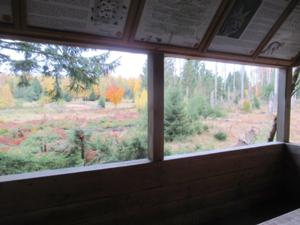 Wildtierbeobachtungsstation Molkehaus.JPG