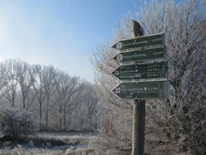 Reinsdorf 1 November 2025.JPG