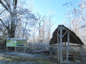 Unstrutblick 2 November 2025.JPG